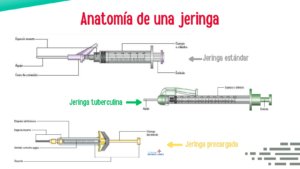 Anatomía de una jeringa