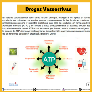 Drogas Vasoactivas