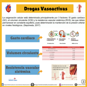 Drogas Vasoactivas