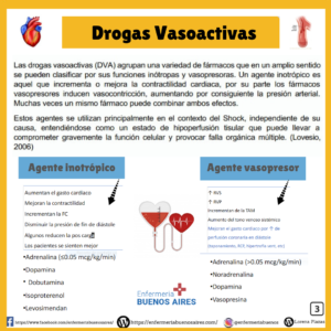 Drogas Vasoactivas