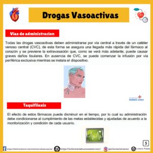 Drogas Vasoactivas