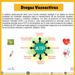 Drogas Vasoactivas